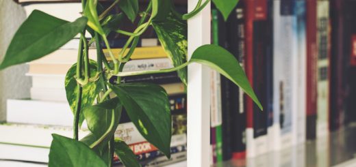 gérer votre stress durant les examens en droit