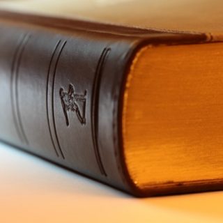 soft law