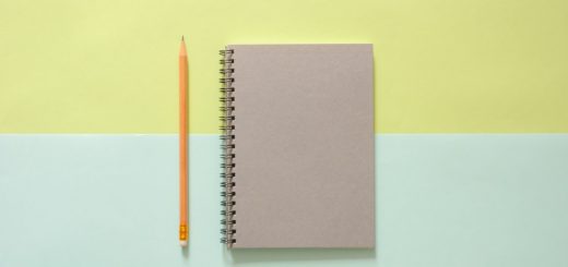 fiches de révision en droit