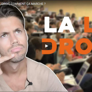La première année de droit