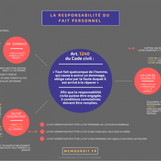 Le droit en schéma | La responsabilité du fait personnel