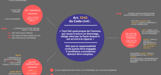 Le droit en schéma | La responsabilité du fait personnel