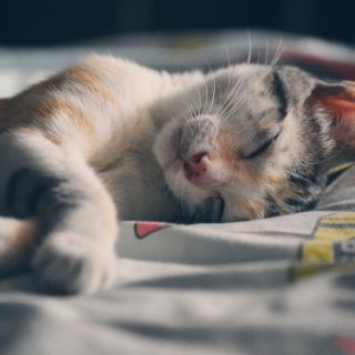 fatigue