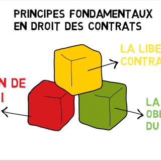 liberté contractuelle