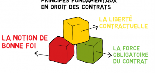 liberté contractuelle